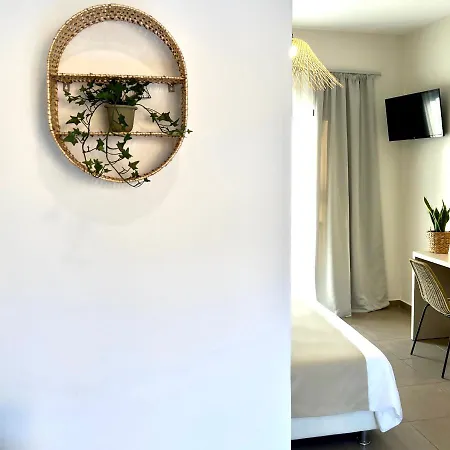 Amare * 티실리비